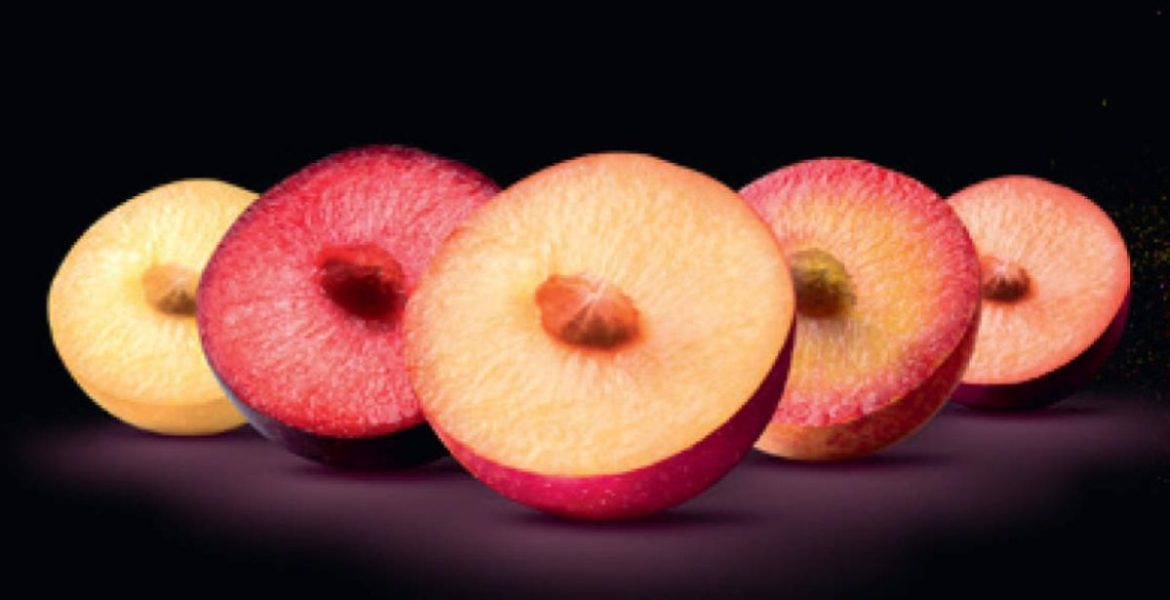 Metis®, scopriamo la nuova generazione di stone fruit