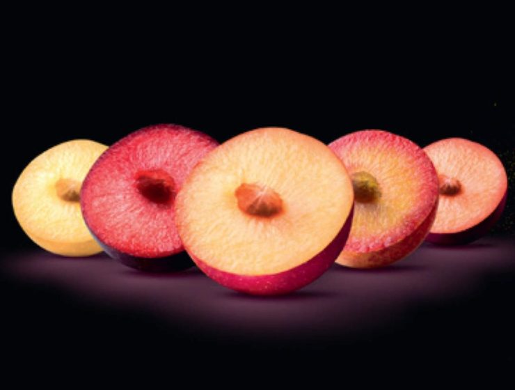 Metis®, scopriamo la nuova generazione di stone fruit
