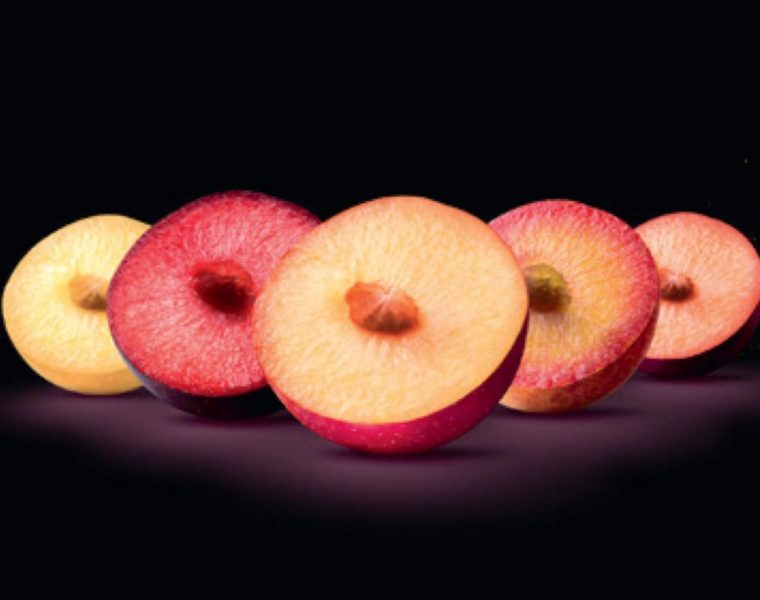 Metis®, scopriamo la nuova generazione di stone fruit