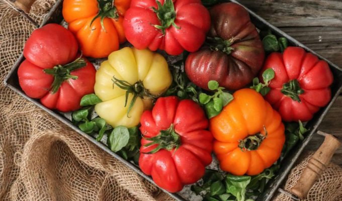 fitosemillas MonteRosa