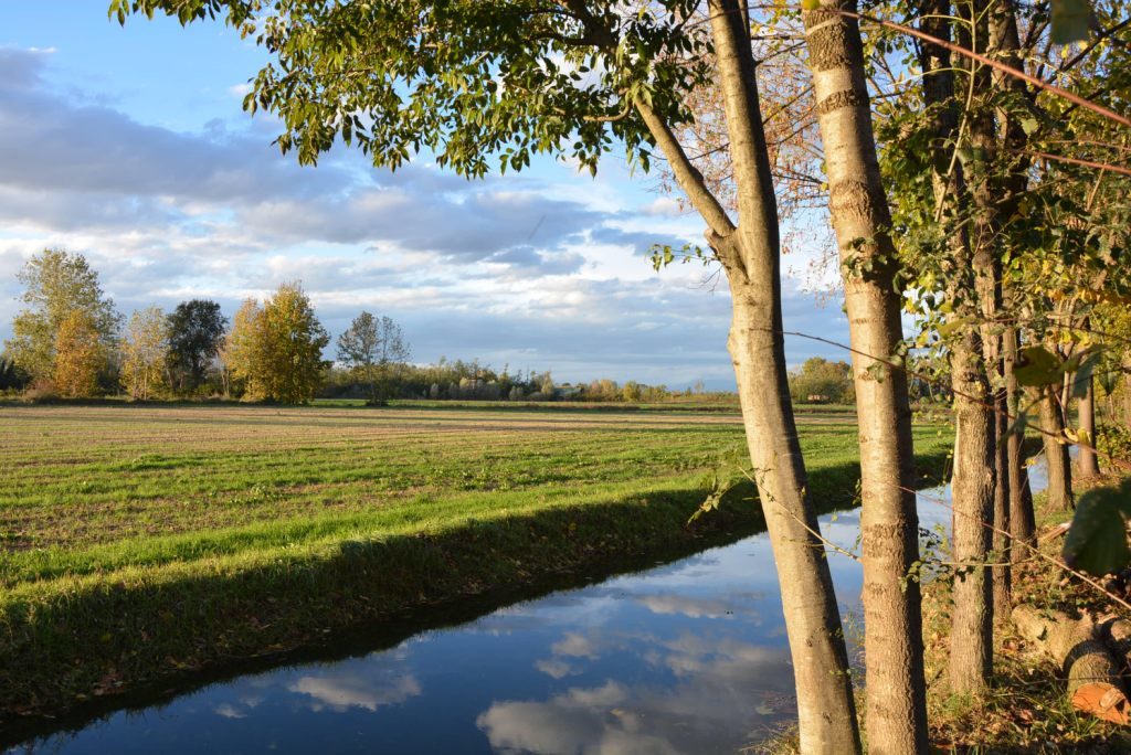 Parco de La Pedrera fiume Oglio
