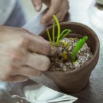 La Pedrera_preparazione_02
