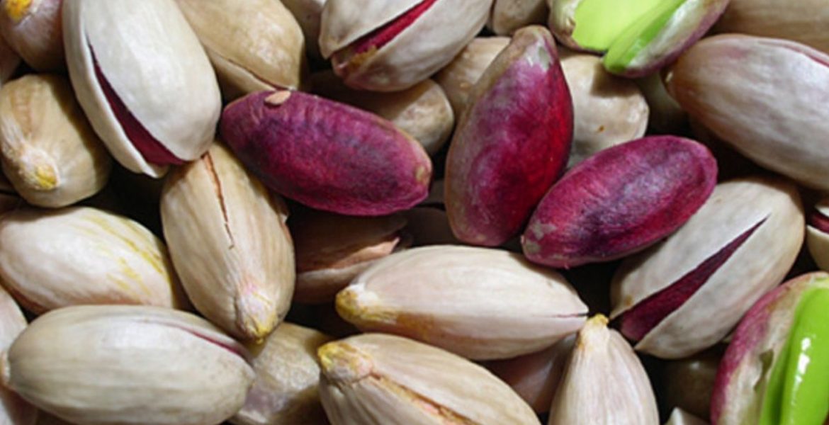 fruitgourmet-consorzio-pistacchio-bronte-pianta pistacchio