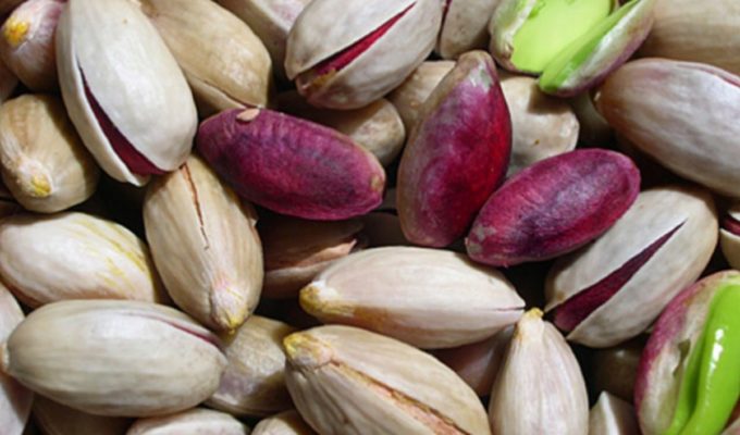 fruitgourmet-consorzio-pistacchio-bronte-pianta pistacchio