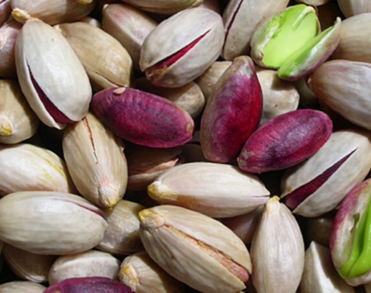 fruitgourmet-consorzio-pistacchio-bronte-pianta pistacchio
