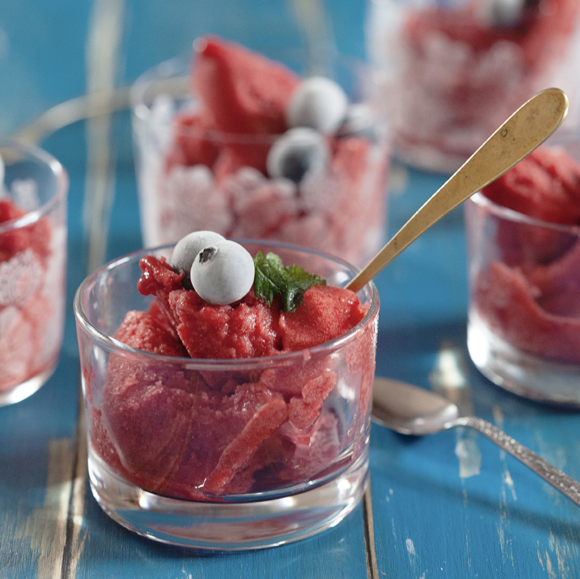 monica-papagna-sorbetto-frutti-rossi-senza-zucchero