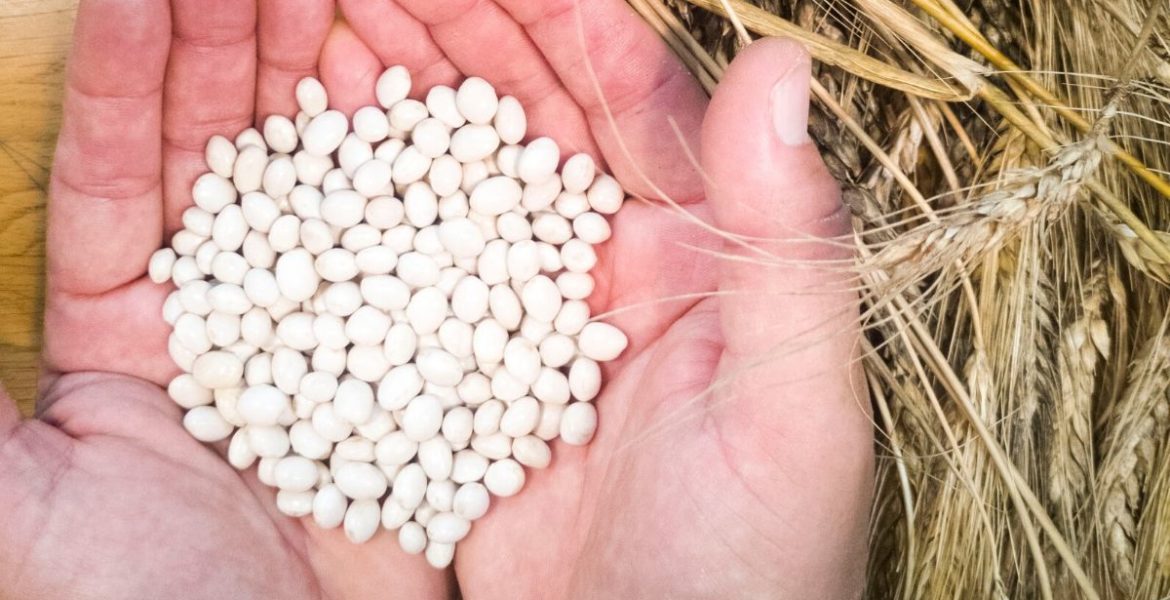 fagiolo bianco di cutrone