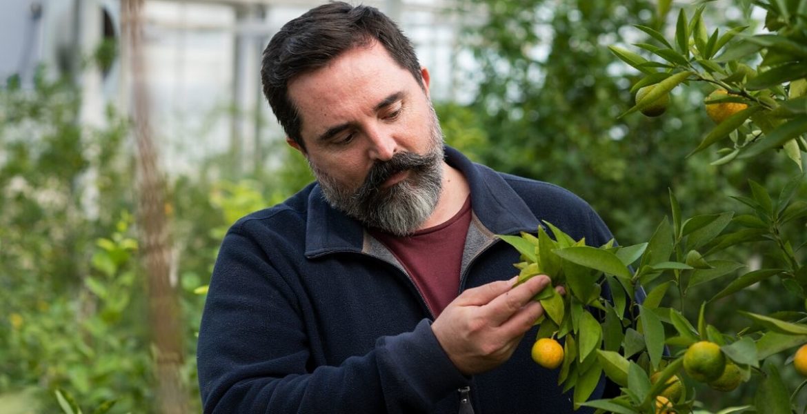 agrumi di Niels Rodin