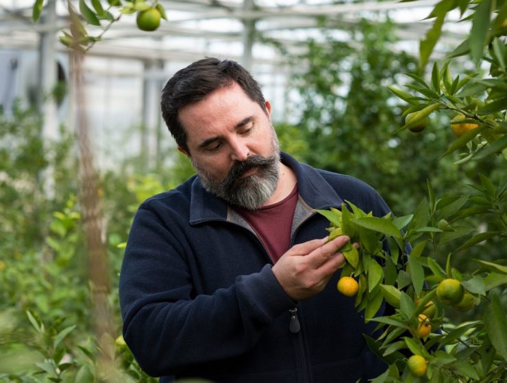 agrumi di Niels Rodin