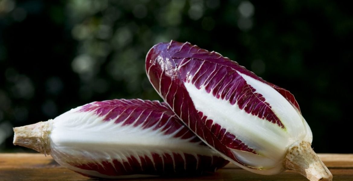 radicchio