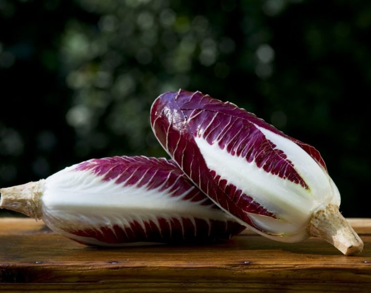radicchio