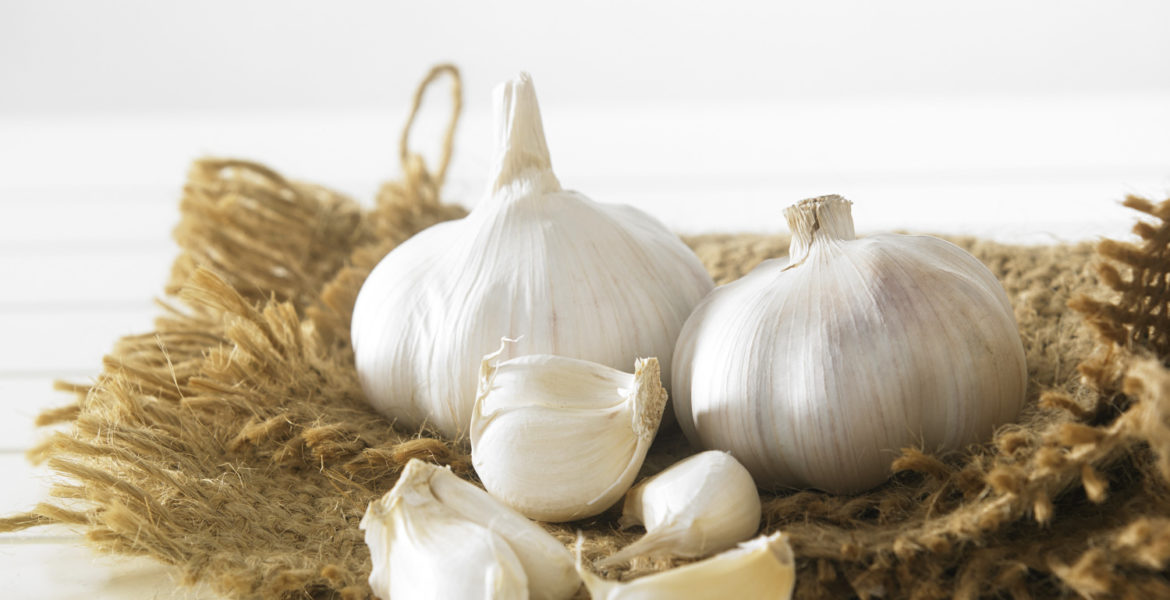 aglio di voghiera dop