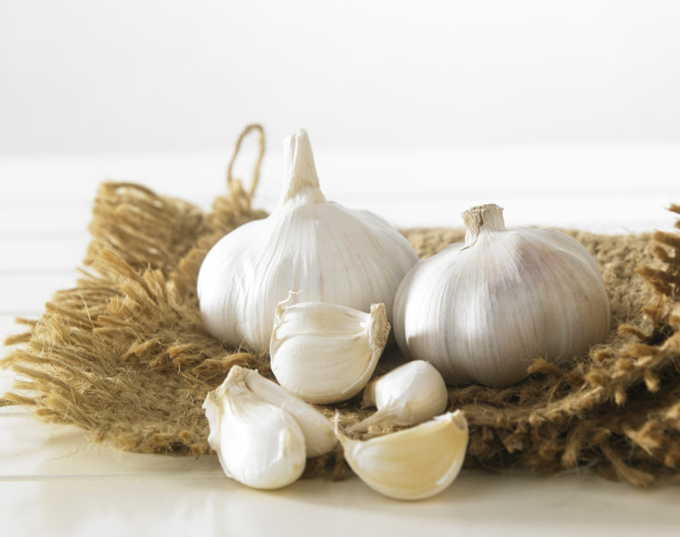 aglio di voghiera dop