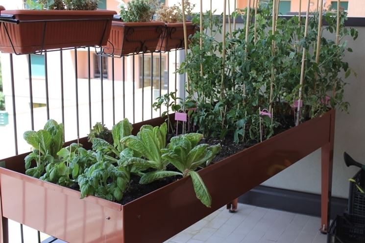 come fare orto in balcone