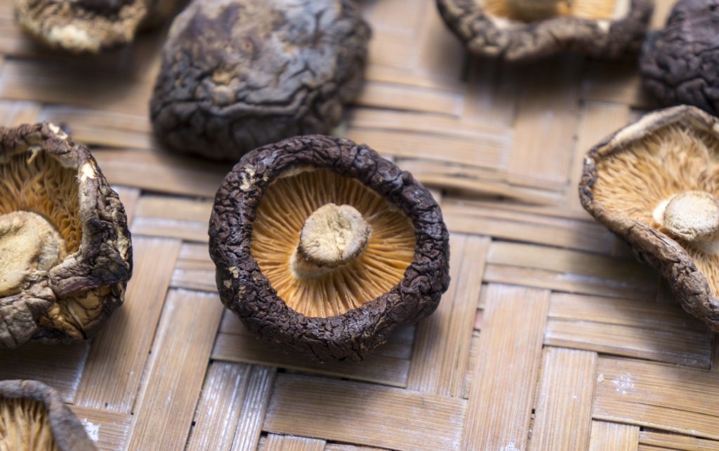 funghi giapponesi