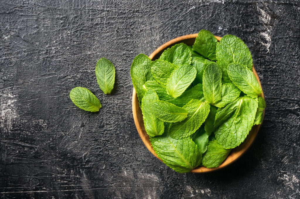 piante aromatiche da balcone