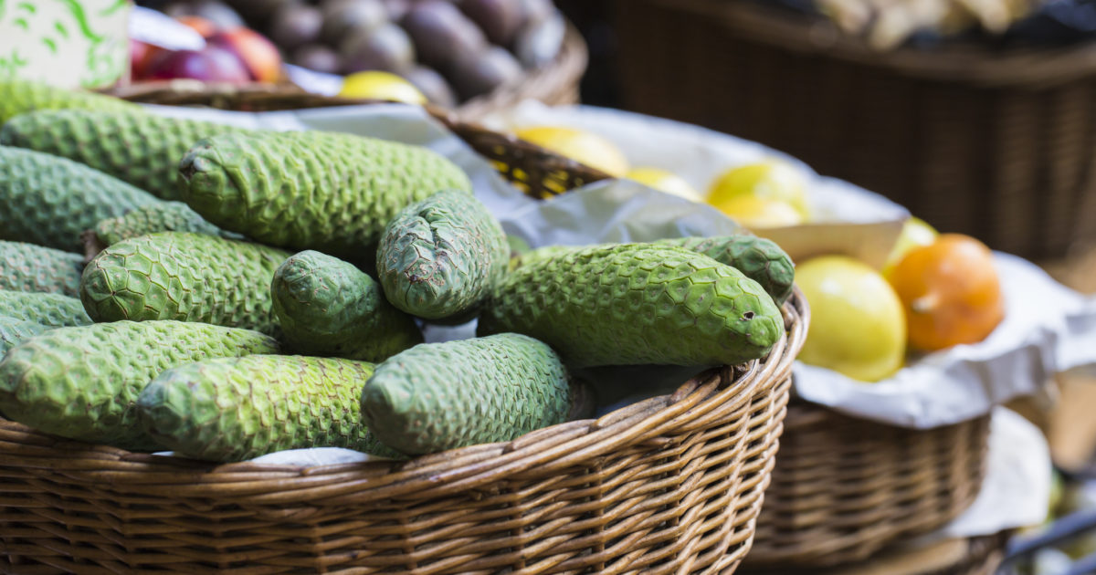 Monstera Deliciosa: Come si Mangia il Frutto della Pianta Tropicale