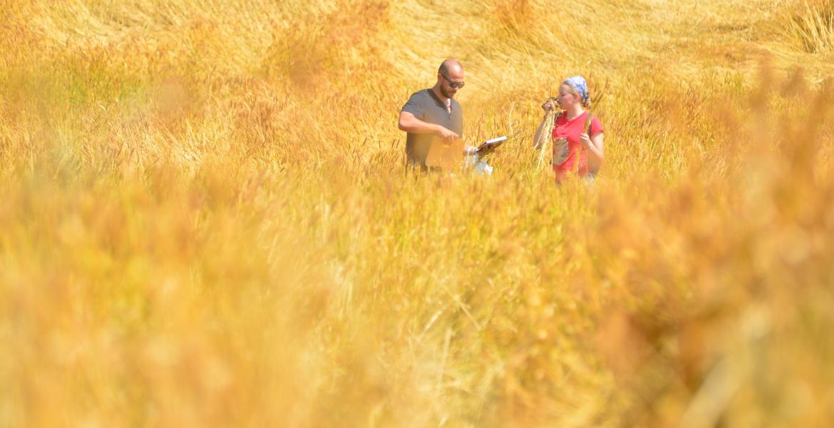 Forno Calzolari a Monghidoro