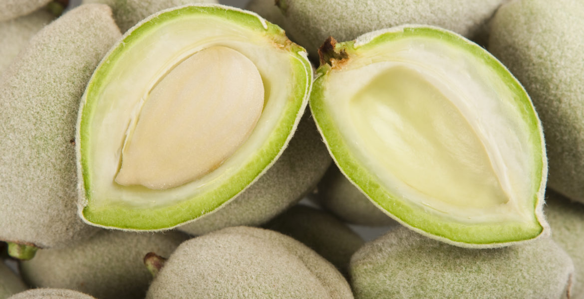 Mandorle Fresche Verdi