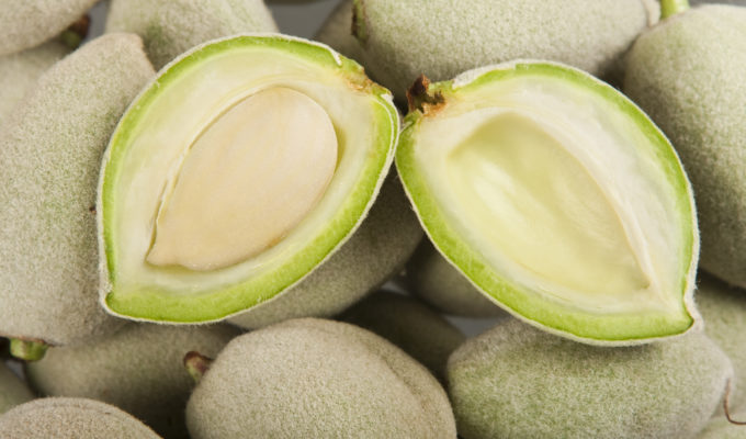 Mandorle Fresche Verdi