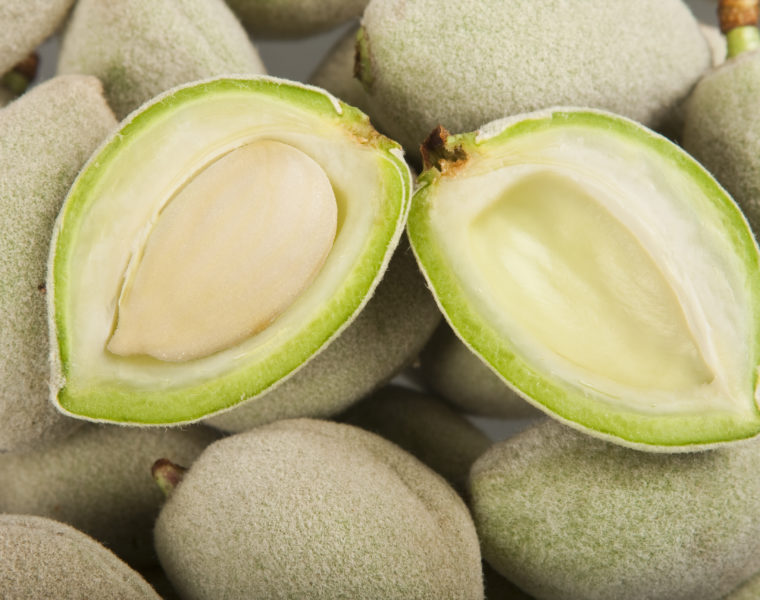 Mandorle Fresche Verdi