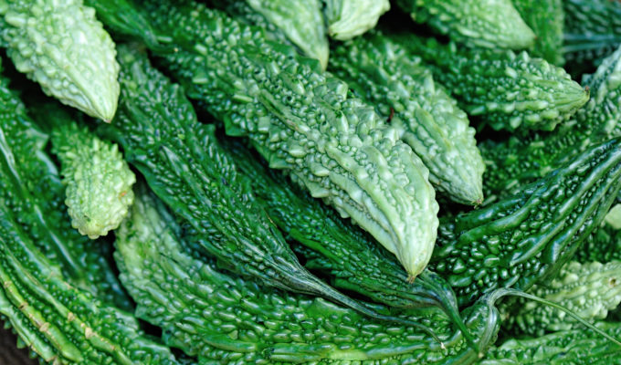 Bitter Melon