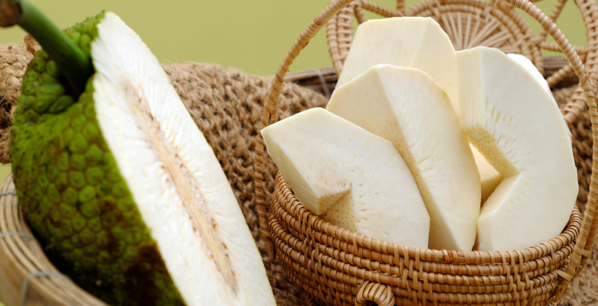 Breadfruit