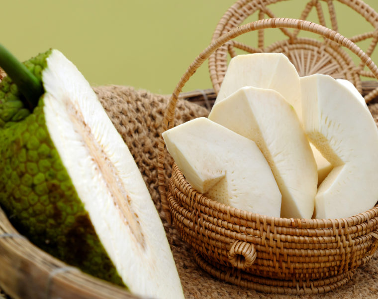 Breadfruit