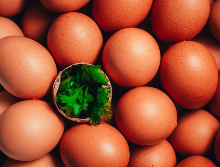 Uova Vegane