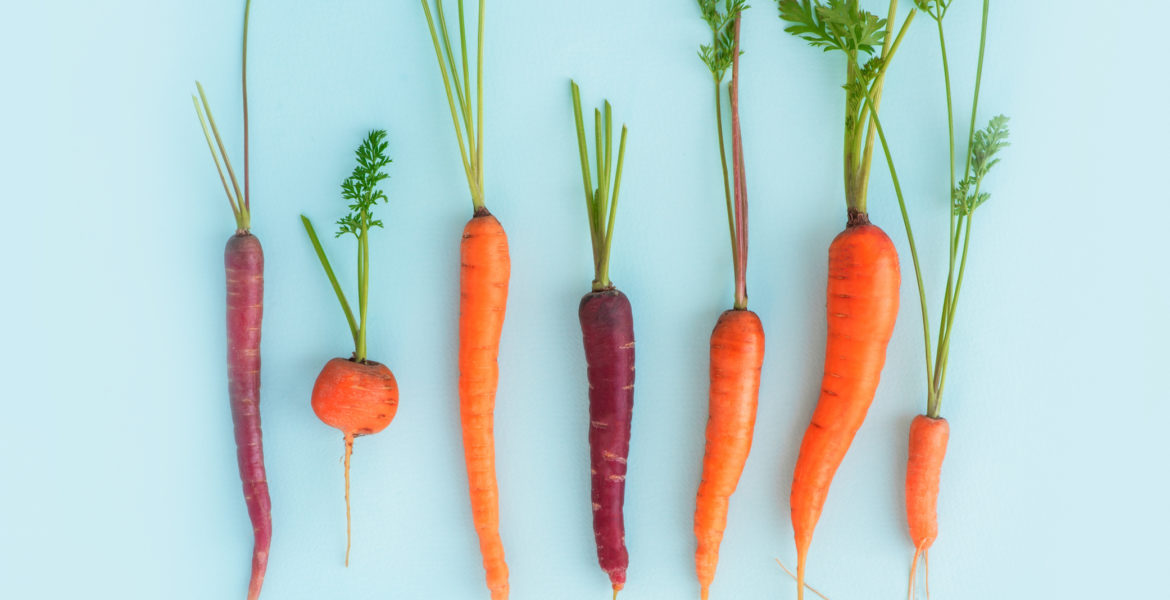 Come conservare le radici