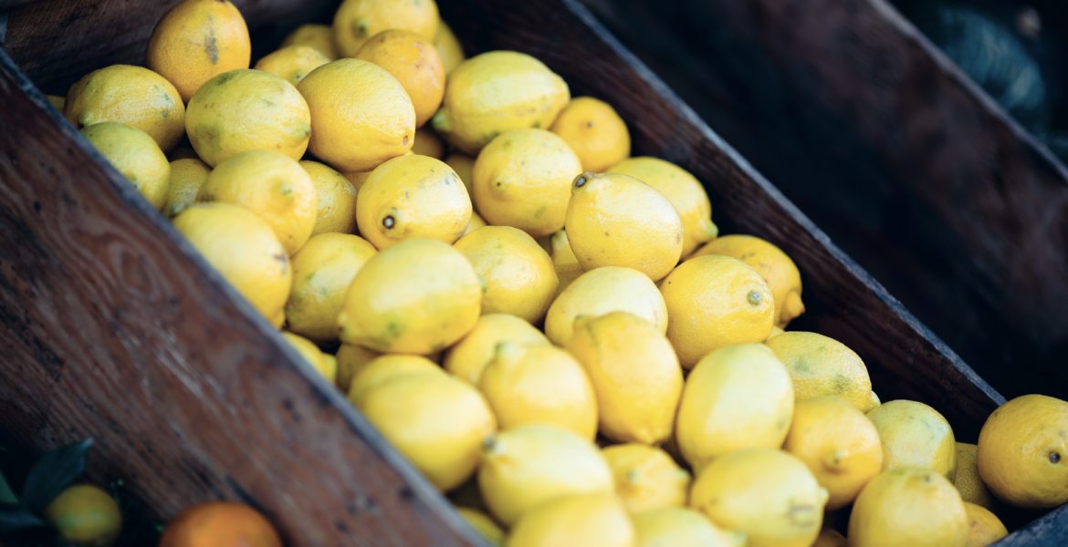 Il paese dei limoni libro