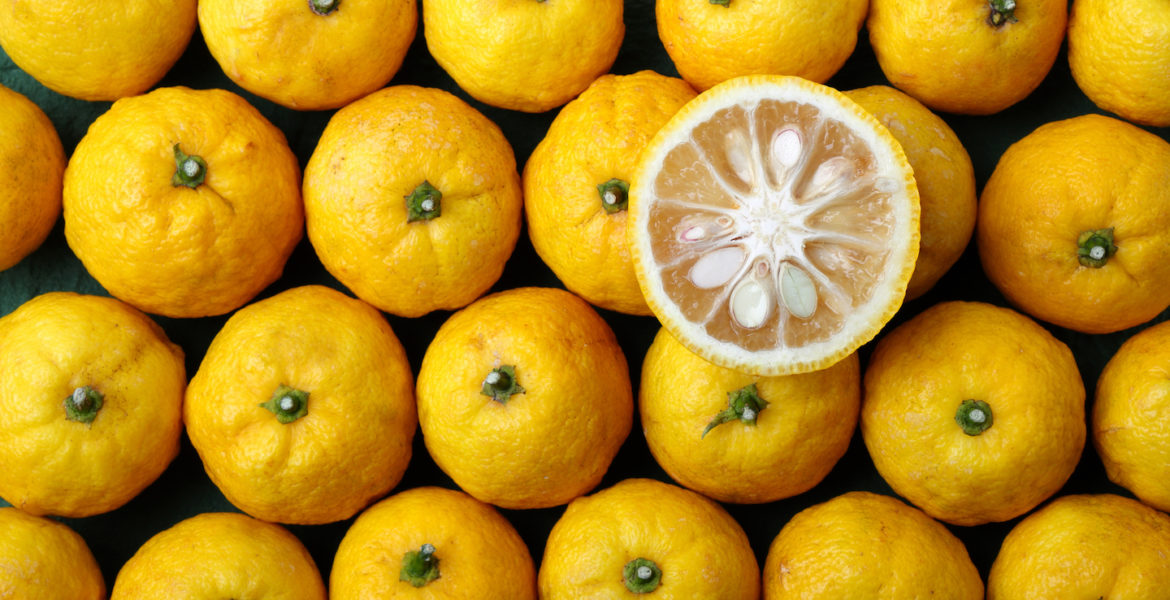 Yuzu Frutto