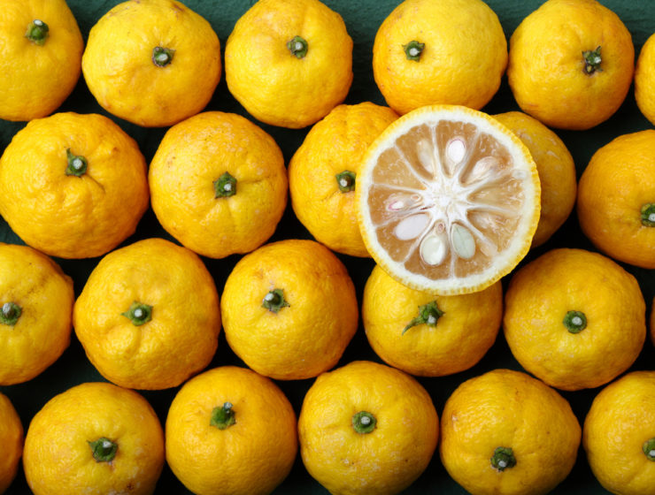 Yuzu Frutto