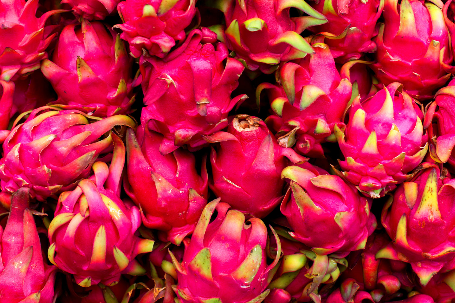 Semi Di Pitaya (Frutto Del Drago) – Pianta Da Frutto Rossa Originaria Del Sud America – 15 Semi