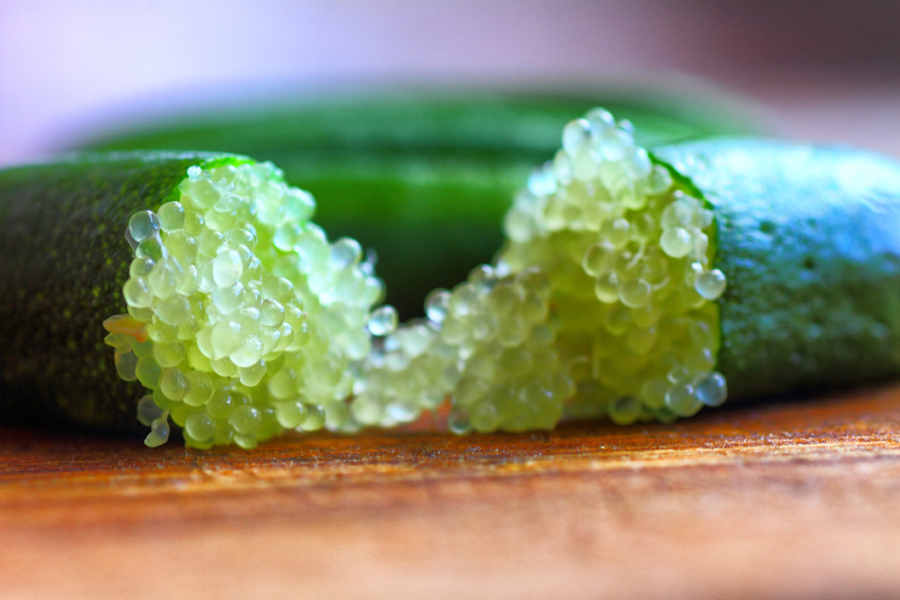 3 Talee Di Australian Finger Lime (Caviale Verde) – Agrumi Importati, Senza Radici - Foto 2