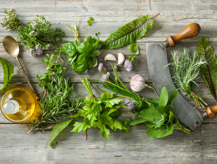 erbe aromatiche