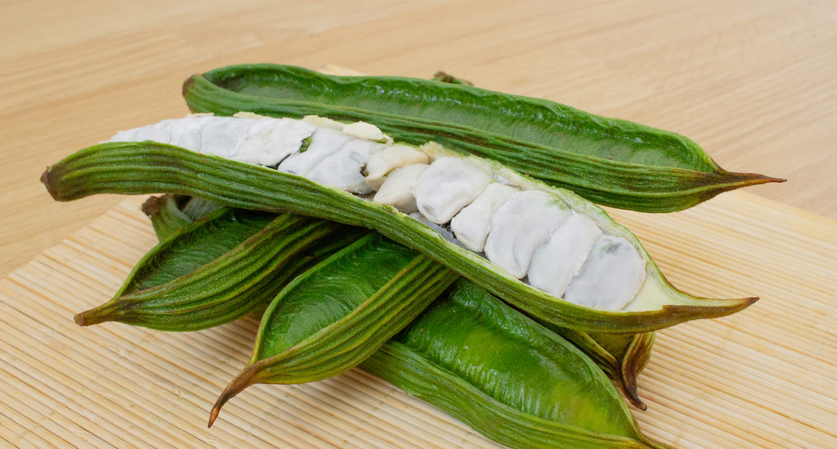 Icecream bean i fagioli che sanno di gelato alla vaniglia