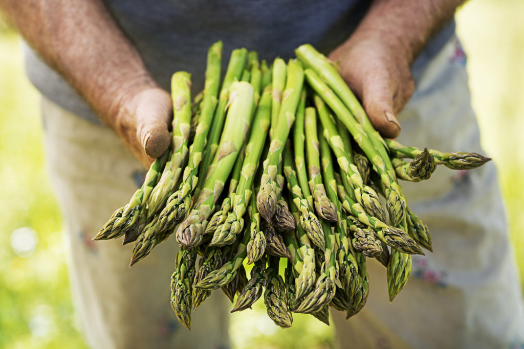 asparagi di stagione in aprile