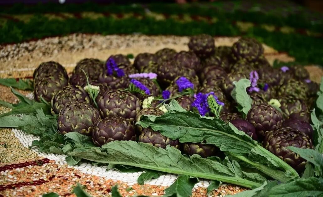 TOPINAMBUR, IL CARCIOFO DI GERUSALEMME