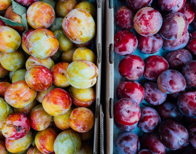 Immagine di prugne e susine fresche a confronto