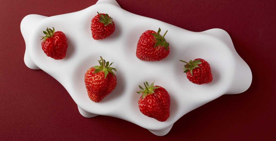 Fragole OKU berry Aloalto