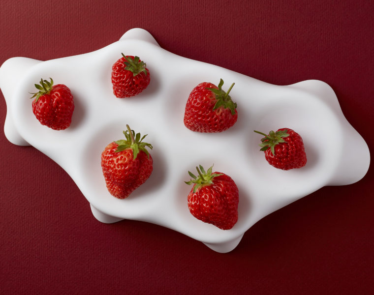 Fragole OKU berry Aloalto