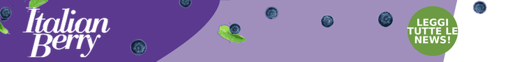 Banner Italian Berry